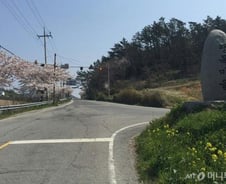 무심한 팽목항의 봄…1년을 지킨 실종자 가족들