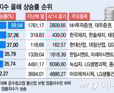 강세장 견인 'S·M·B'가 했다