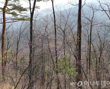 봄의 과수원으로 오라