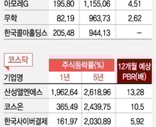 '꿈의 수익률'…10루타 때린 종목은 