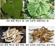 [단독]내츄럴엔도텍 투자자 소송전 돌입