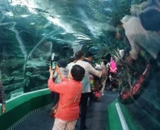 롯데월드몰 수족관·영화관 무료개장에 수천명 몰려