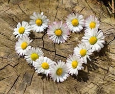 복수 당할 것을 알고도 사랑하라