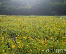 죽는 날 내 통장에 찍히는 숫자는?