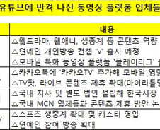 [단독]불붙은 '동영상' 경쟁… 한국, IT업체들 '격전지' 되다