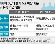 슈퍼개미 전성시대, '저평가 중소형주' 위주로 샀다
