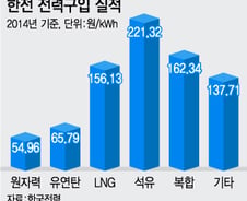[단독]석탄보다 2배 비싼 LNG 늘린다.. '전기료 인상 불가피'