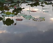 네가 마음의 감옥에 갇혀 산다는 진실