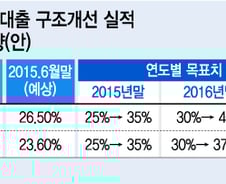 "담보대출 까다로워진다" 호조세 주택거래 '빨간불'