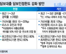 담보대출 감소 상가 경매시장 '타격'…거래 둔화 불가피