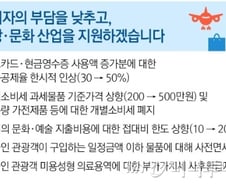 '샤넬백' 60만원 싸게산다… '사치세' 기준완화