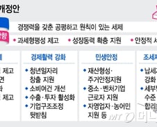 "대기업 증세?" vs "사각지대 과세"