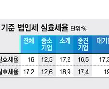 대기업 세금부담 4100억원 증가…실효세율 올라갈까?