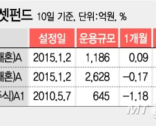[단독]NH-CA운용 펀드매니저 잇단 이탈에 비상