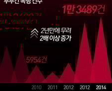 [사진][그래픽]최근 2년간 부부폭력 2배↑