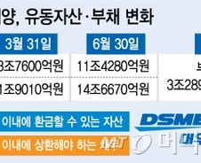 [단독]회계법인 "대우조선, 기업으로서 존속능력에 의문"