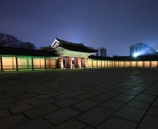 달빛·연꽃·소리에 취하니 술이 필요가 없구나