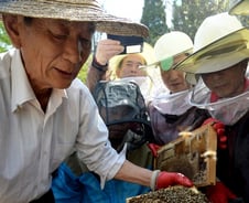 도시에서도 양봉사업 "벌통으로 노후설계해요"