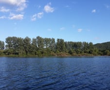 지금 내 삶이 미몽이라는 것을 눈치는 챘나?