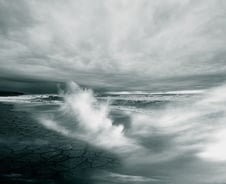 "친구야, 재테크 공부에 열 올리지 마"