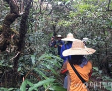 [르포]미래의 황금 '그린골드'..생물자원 전쟁이 한창인 캄보디아