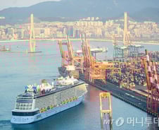 컨테이너용 부두에 입항하는 대형 크루즈선? 보안검사 사각지대