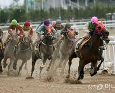 마사회 '도박 치유 예산', 경마수익의 0.46%뿐