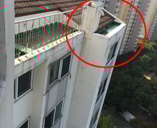 [르포]'용인 캣맘 사건' 벽돌 떨어뜨린 '옥상' 가보니…