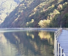 내가 나일 수 없는 100가지 이유