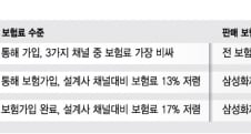 다음달부터 최대 17% 싼 인터넷 車보험 쏟아진다