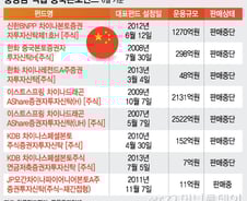 [단독]中본토펀드 하루 수익률 19%…투자자는 골탕
