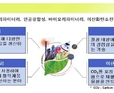 탄소자원화 초기 단계…"산·학·연 합심해 선점 효과 이루자"