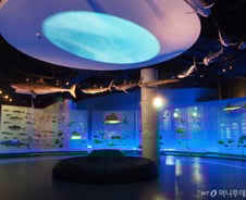 [르포]'생물자원 전쟁'의 첨병…해양생물자원관을 가다