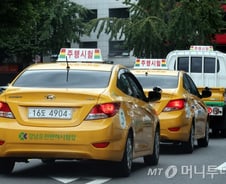 노인운전자 인지검사 취약하면, 면허 반납