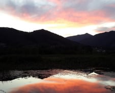 아프니까 청춘이다 vs 차라리 죽지 그래