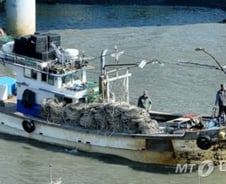 내년부터 4톤 이상 어선, 어선원보험 의무가입