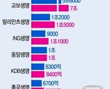 [단독]보험사 자본 52조 증발위기, 컨트롤타워가 없다