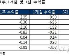 국·내외 주식형 펀드 중국발 쇼크에 '급락'