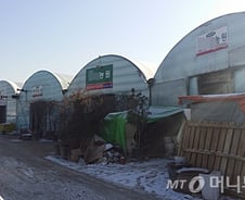 "뉴스테이 지구 지정 며칠 전, 땅 팔라고 한 사람들 있어"