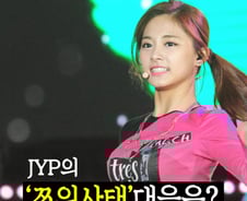 [그래픽뉴스]지지정당으로 본 'JYP 쯔위사태' 반응은?