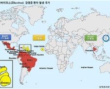 질병관리본부, 지카바이러스 '법정 감염병' 지정 검토