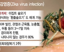 유럽까지 확산, '지카바이러스'…감염 경로·증상은?