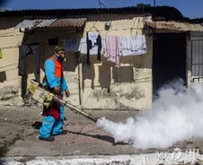 지카바이러스로 돌아온 메르스 테마주