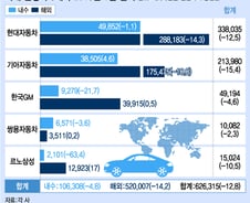 '개소세 마법' 풀리자 車거래 뚝… 1월 판매 12.8%↓