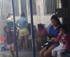 문체부, 8월 브라질올림픽 선수단에 '지카바이러스' 책자 배포한다