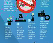 WHO, 지카 바이러스 비상사태 선포 "국제대응 필요"