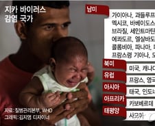 브라질 "'지카바이러스 우려'임산부 방문 자제해달라"