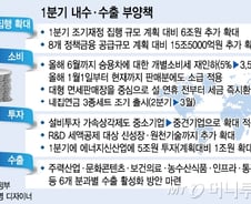 정부, "개소세 재인하, 21.5조 재정추가집행" 경기방어 총력전