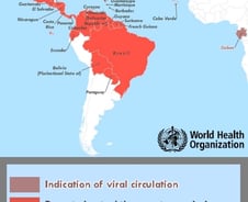 지카 바이러스 공포 확산, 美 리우 올림픽 불참 검토