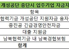 개성공단 피해보상 1조? 대출·보험 '빚' 3000억 지원 그쳐 